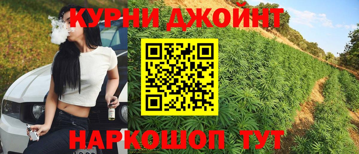 Канабис планчик  Вход с VPN  Бошки марихуана сатива  Канабис ГИДРОПОН  Бошки марихуана индика  Киреевск 